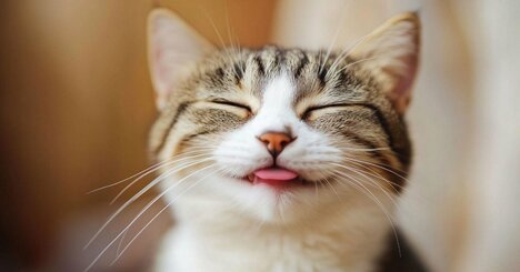 「いくらお金があっても不安になってしまう人」と「収入が少なくても幸せを感じられる人」を分ける、たった1つのこと