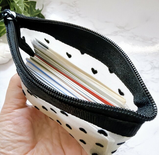 カードが50枚も入った！セリアの“大人かわいいポーチ”110円とは思えないオシャレさ！「2つ買っちゃった」「可愛いし優秀」《購入レビュー》