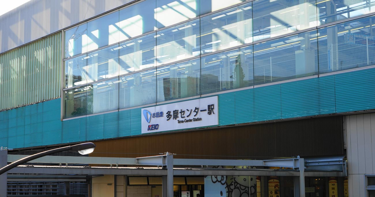 多摩市,小学校