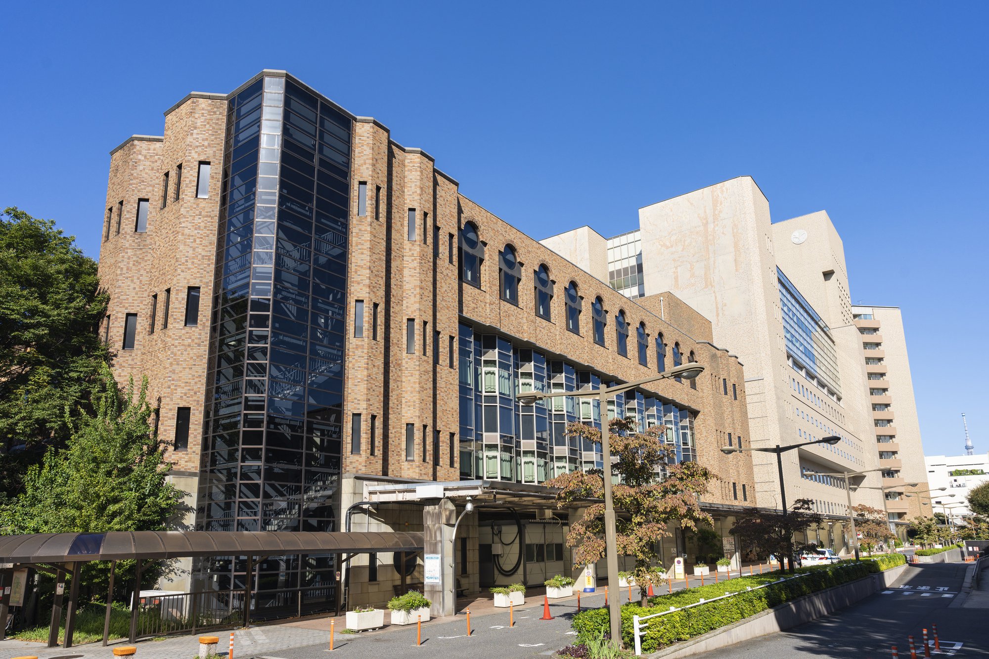 東大医学部が乗り出した「細胞レベル」の美容研究、CBDってなんだ?