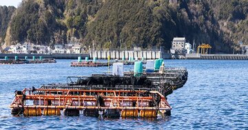 トライアングルエヒメ事例2:AI給餌機の実装でコストを削減、持続可能な養殖経営を目指す