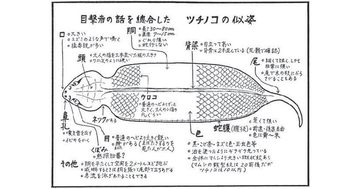 幻の怪蛇「ツチノコ」探しに情熱を傾けた男たちの物語