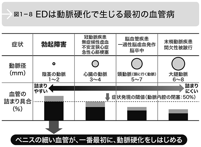 当てはまる人は要注意！テストステロンを下げてしまう人の5つの特徴