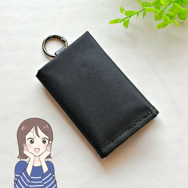 小銭やお札が取り出しやすい！ダイソーの「スマホより小さいミニ財布」カードが12枚入って便利！《購入レビュー》