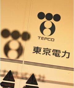 “想定内”のはずの東電追加支援国民負担増で政権は消極姿勢に