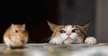 周りから「お前失礼だよな」と言われるのをやめたい…気をつけるべきことは?【『独学大全』著者が教える】