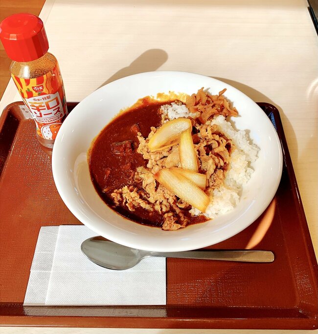 「美味しすぎて2杯目いきたい」すき家の“やけくそメニュー”期間限定なのが惜しい！「こういうのでいいんだよ」「いつものよりおいしい」《実食レビュー》