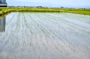 みどりの食料システム戦略　第2回：ビジネスの現場で、もう始まっている「農と食の未来」