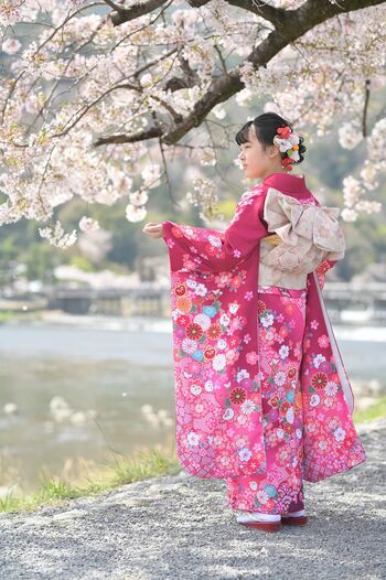 京都で桜を満喫できる時間帯別オススメコース | らくたびと歩く京都