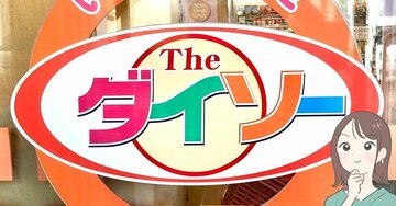 もう普通の財布に戻れないかも…!ダイソーの“お札もカードも入るミニ財布”ガバッと開いて使いやすい!《購入レビュー》