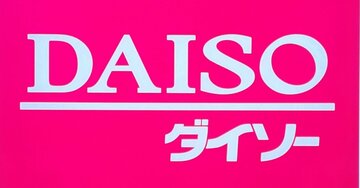お薬手帳と処方薬がまるっと入った!ダイソーの「おしゃれミニポーチ」通院セットもまとめて収納できて優秀!《購入レビュー》