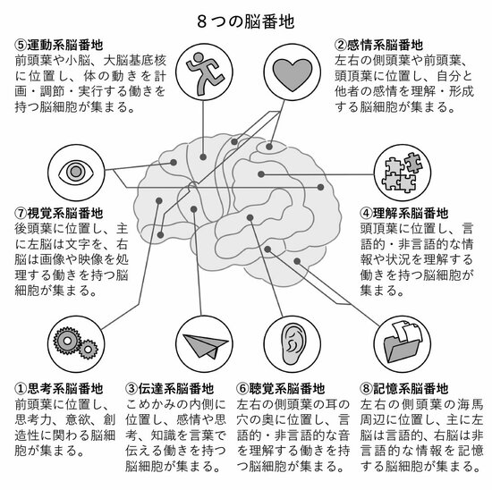 図表：8つの脳番地