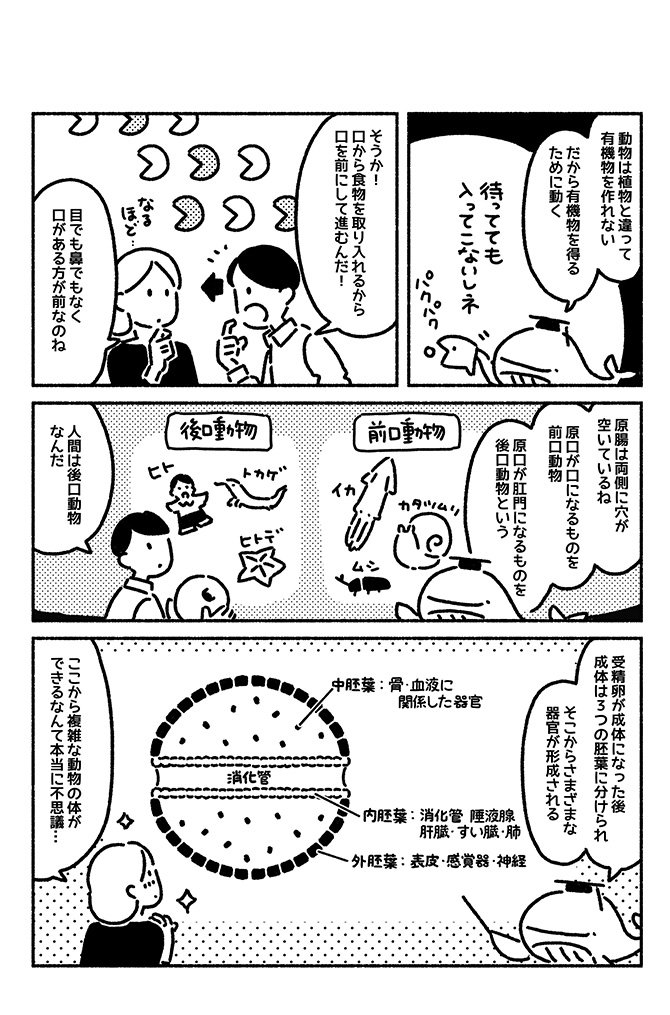 マンガでわかる「動物の前と後ろを見分ける」根本的な方法<br />