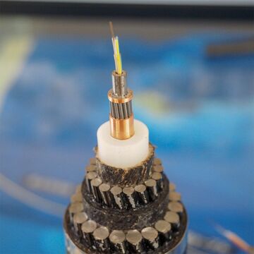 沖縄と九州を東シナ海経由で結ぶ新たな海底ケーブル