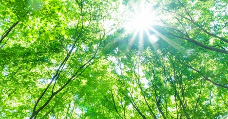 【神様が味方する人の生き方】「自分の努力ではどうにもならない問題」を突きつけられたとき、どうすればいいか？