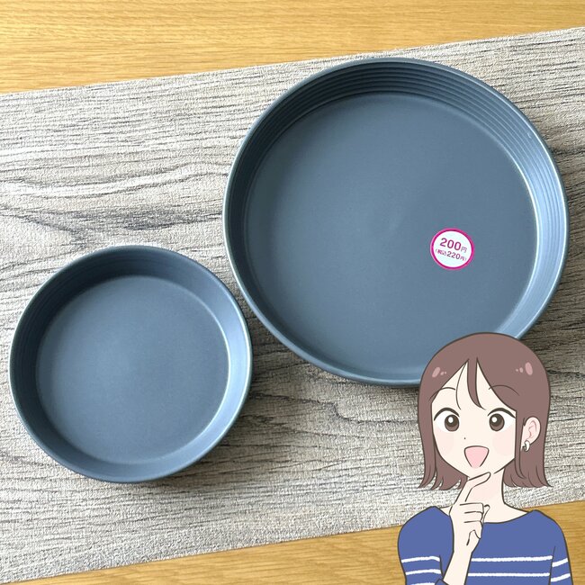 待って、220円に見えないよ…！ダイソーで見つけた「IKEAにありそうな食器」北欧風がオシャレで、何をのせてもカフェっぽくなる！