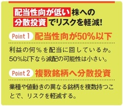 配当性向が低い株への分散投資でリスクを軽減