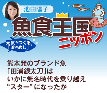 熊本発のブランド魚「田浦銀太刀」はいかに無名時代を乗り越え“スター”になったか