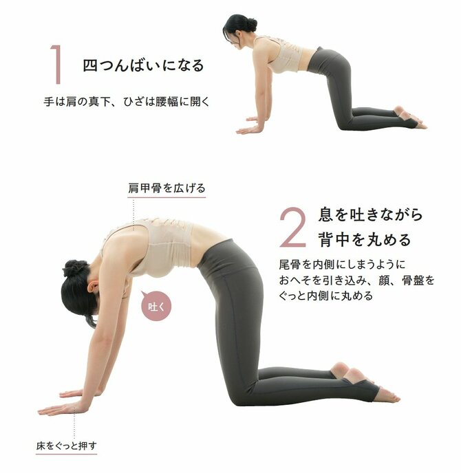 【くびれづくりのプロが伝授】「ぽっこりお腹」の人の特徴とは？ やってほしい1つの習慣