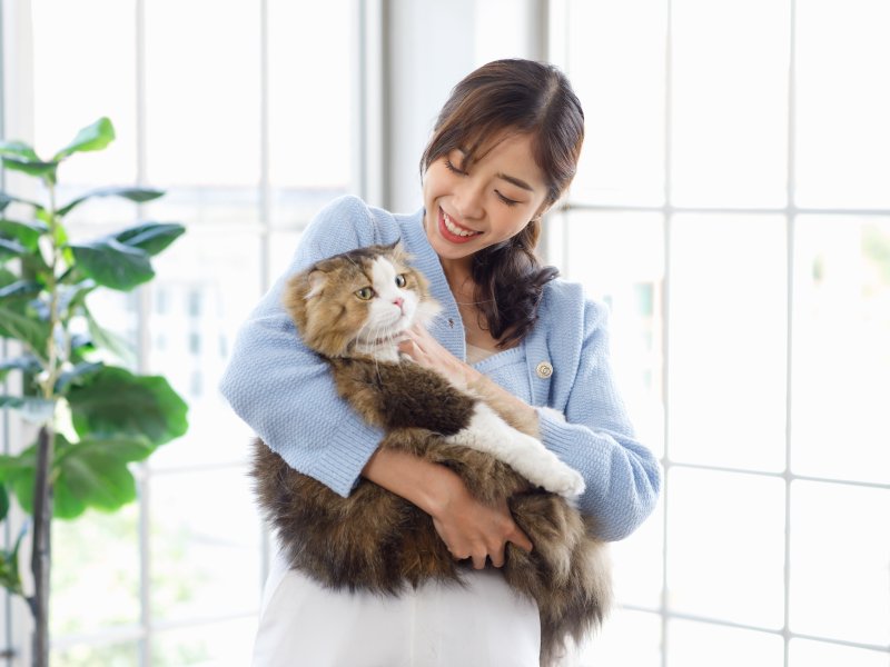 ペットが飼い主の脳に与える影響とは？