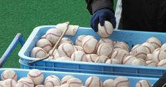 プロ野球キャンプで注目の的、甲子園のヒーローたち