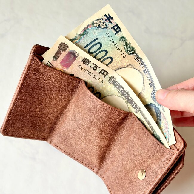 小銭が取り出しやすくて感動…！ダイソー姉妹店の「ミニ財布」ガバッと開くから、レジでの会計がスムーズになった！《購入レビュー》