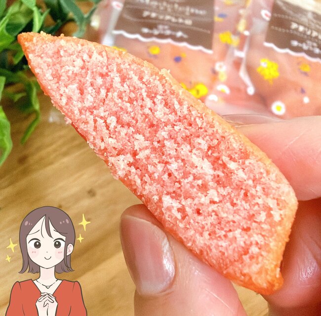 昭和にタイムスリップしたみたい!コージーコーナーの「レトロかわいいバッグ」お菓子がたっぷり入っててコスパすごい!《購入レビュー》