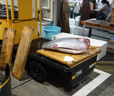 豊洲市場でターレの荷台で解体中の生マグロ 豊洲市場でターレの荷台で解体中の生マグロ