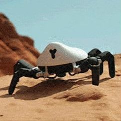 キモカワイイ！ 6本脚のクモ型プログラムロボ「ヘクサ」