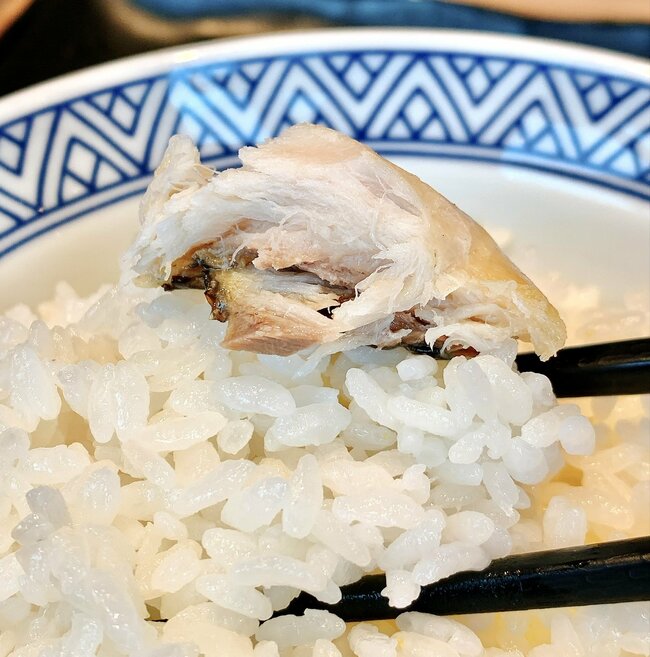 「ガチでうまい」「白米が足りなくなる」吉野家の“よくばり定食メニュー”ご飯おかわり無料が嬉しい！「ファーストフードのメニューとは思えない」《実食レビュー》