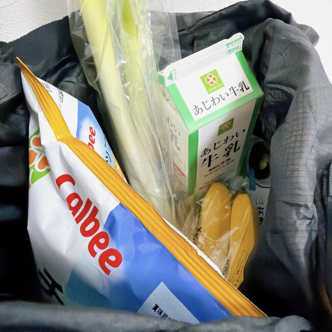 「待ってました、再入荷！」「とても可愛いです」カルディの“ぬいぐるみになるエコバッグ”毎日連れて歩きたい可愛さ…！《購入レビュー》