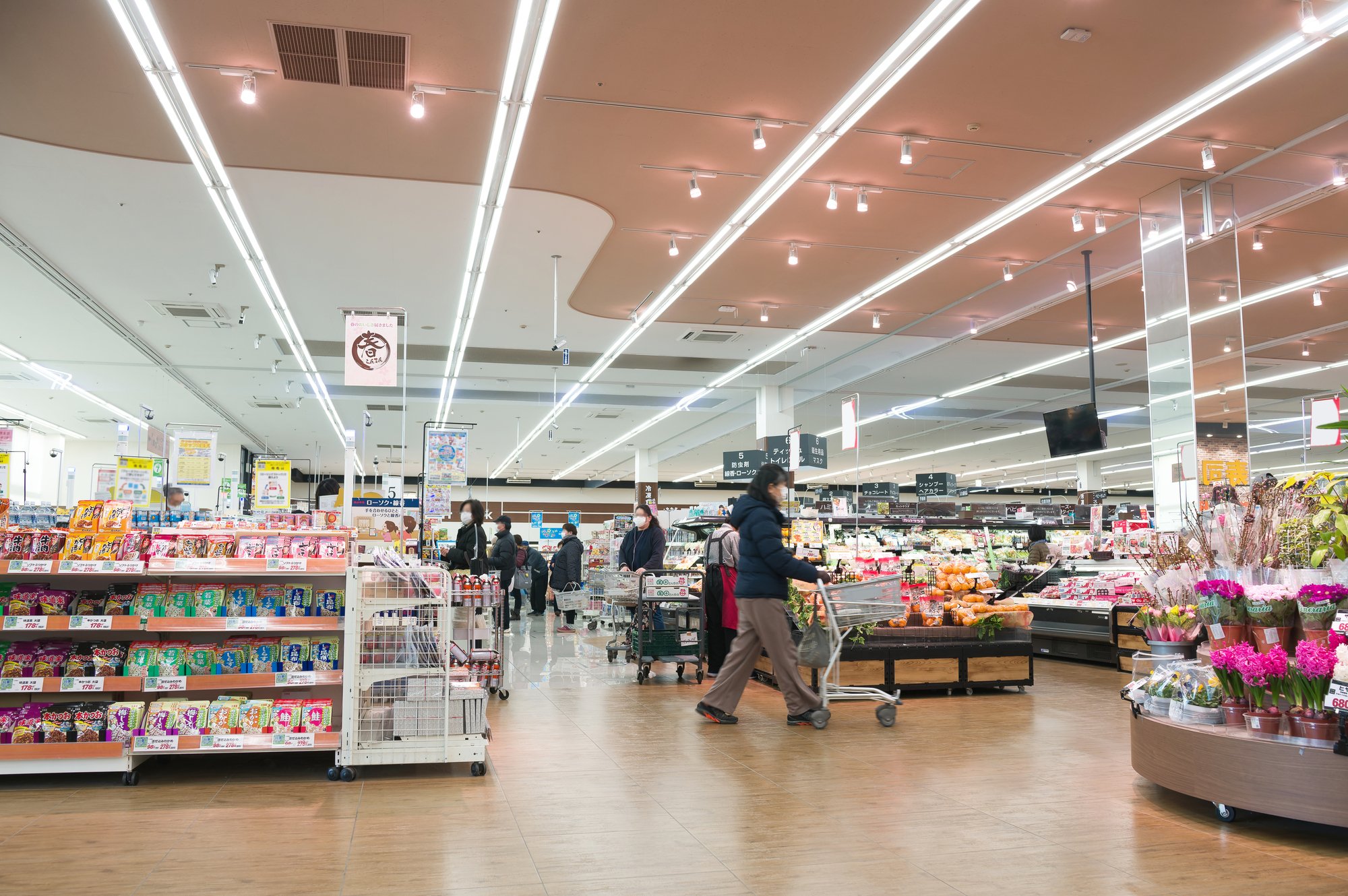トマトとミニトマトの「健康コスパ」はどちらが優秀?「安いから」で後悔しない食品選びの新基準