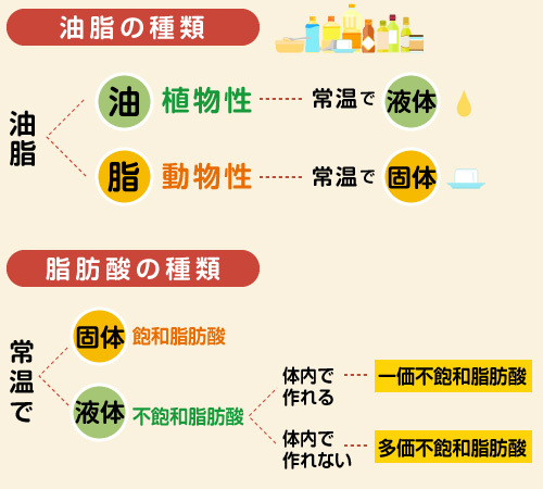 なぜ「油脂」は摂り過ぎても不足してもダメなのか