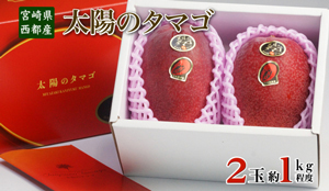 2019年11月に先行予約を始める予定の「太陽のタマゴ」