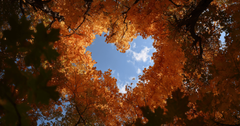 【精神科医が教える】どん底からでも「希望」が見える逆転の思考法