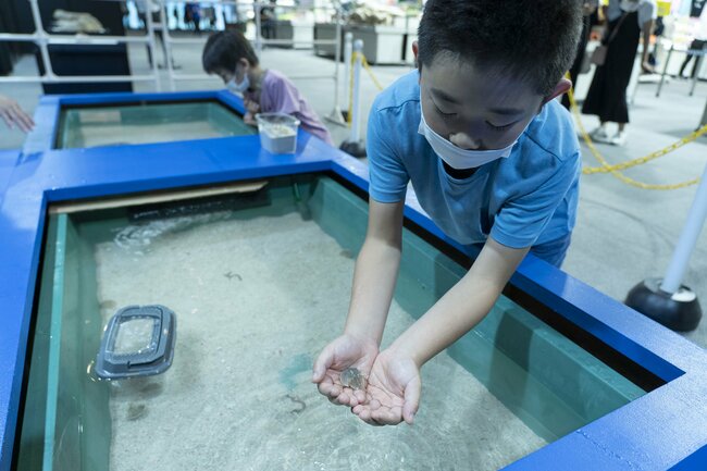 「絶滅した生き物」が大集合！話題の『わけあって絶滅しました。展』に行ってみた。