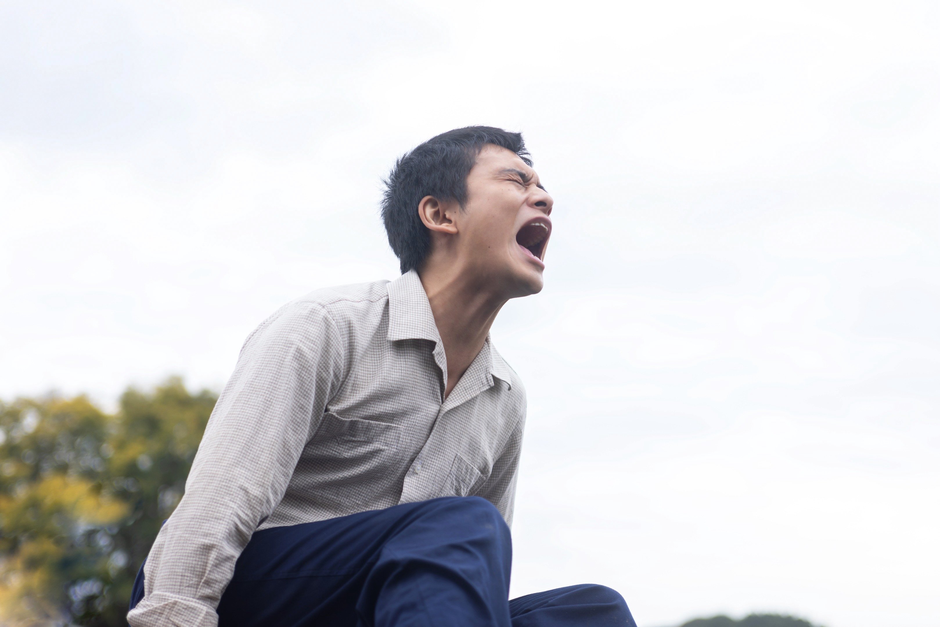 悲劇!物語の最高潮で飛び出す強烈な土佐弁がわからない…!でもそれがかえってイイ【あんぱん第17回レビュー】