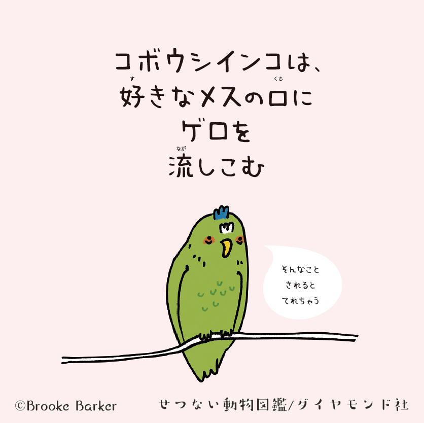 好きなメスの口にゲロを流しこむ鳥…恋模様がせつない動物ベスト3