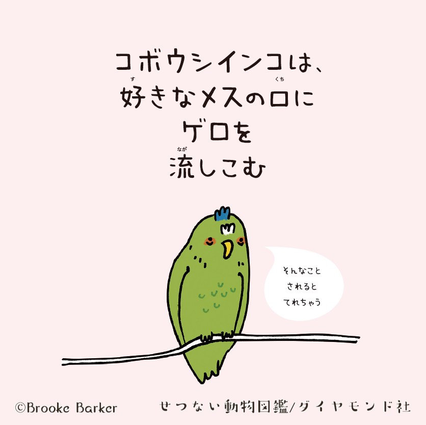 好きなメスの口にゲロを流しこむ鳥 恋模様がせつない動物ベスト3 気になるあの本を読んでみた ベストセラー目のつけどころ ダイヤモンド オンライン