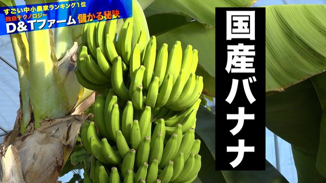 儲かる農業#7-1