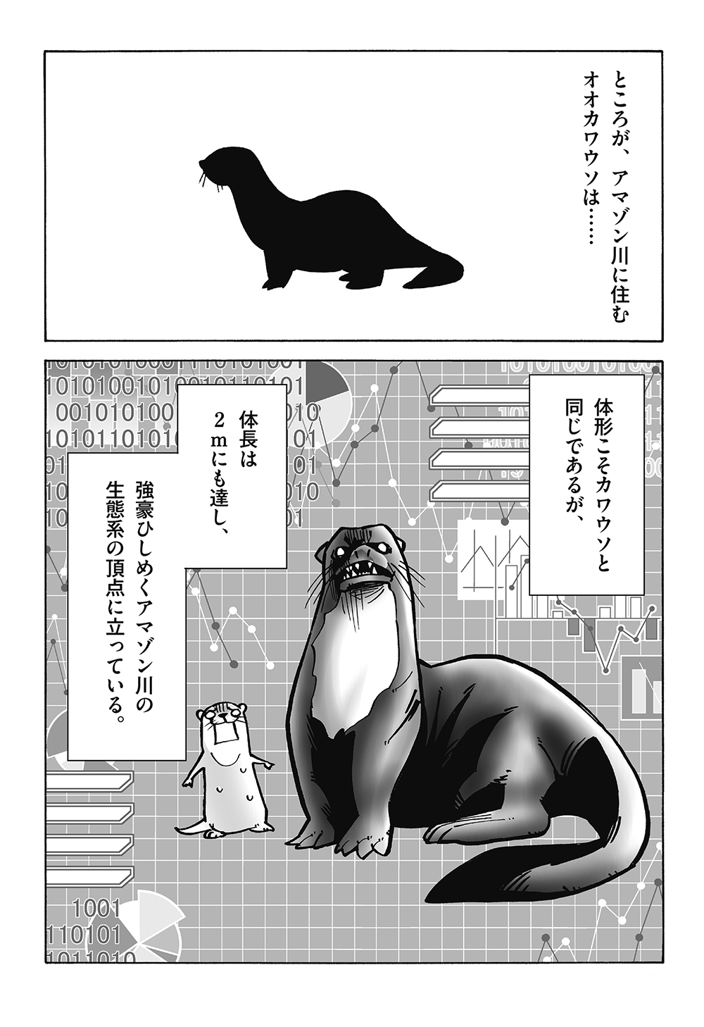 「ワニ、食べちゃいます」アマゾン川のカワウソが怖すぎる！