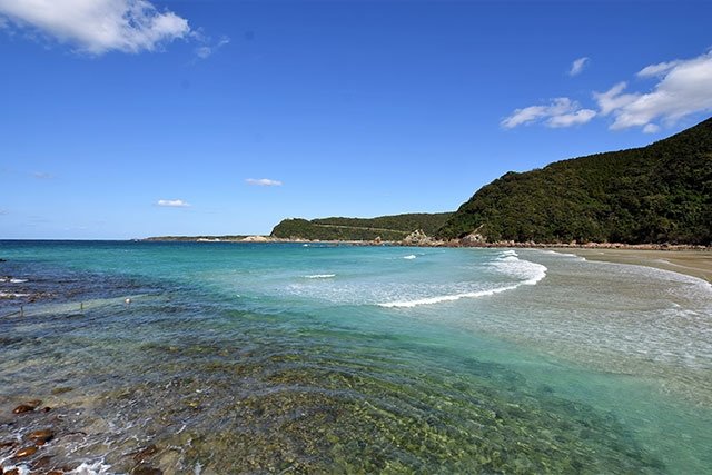 夏休みシーズンは桟敷が利用でき浮き輪のレンタルも可