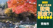 【青梅市ベスト5】小学校区「教育環境力」ランキング！2022年最新版