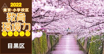 【目黒区ベスト10】小学校区「教育環境力」ランキング！【偏差値チャート最新版】