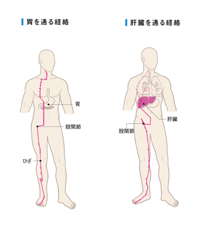 【整体プロが指南】痛みを和らげる食べ物とは？ たった一日で腰痛がラクに！