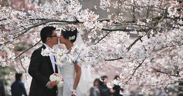 サークル内の“出会い”は御法度?ミレニアル世代の恋愛観