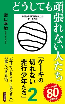 『どうしても頑張れない人たち ケーキの切れない非行少年たち2』書影