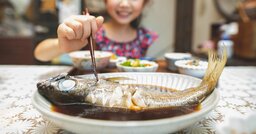 「日本は魚を獲りすぎ」の自虐史観は的ハズレ！元水産庁職員の解説にぐうの音も出ない