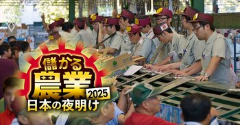 【25年度ベスト10】農協の巨額損失「危険度ランキング」やデンソーのトマト事業への730億円投資、青果物流通のDXに注目が集まる…農業業界の一年を総まくり