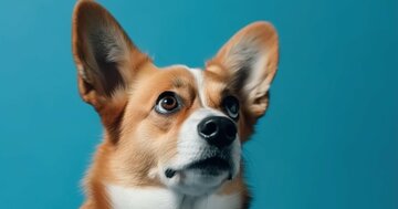 【あなたはどれ?】4タイプで見えてくる、あなたの「思考のクセ」【書籍オンライン編集部セレクション】
